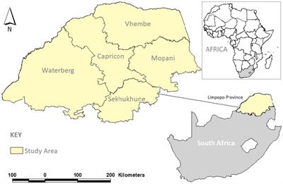 Impacts of COVID-19 on SDGs implementation and service delivery in South Africa